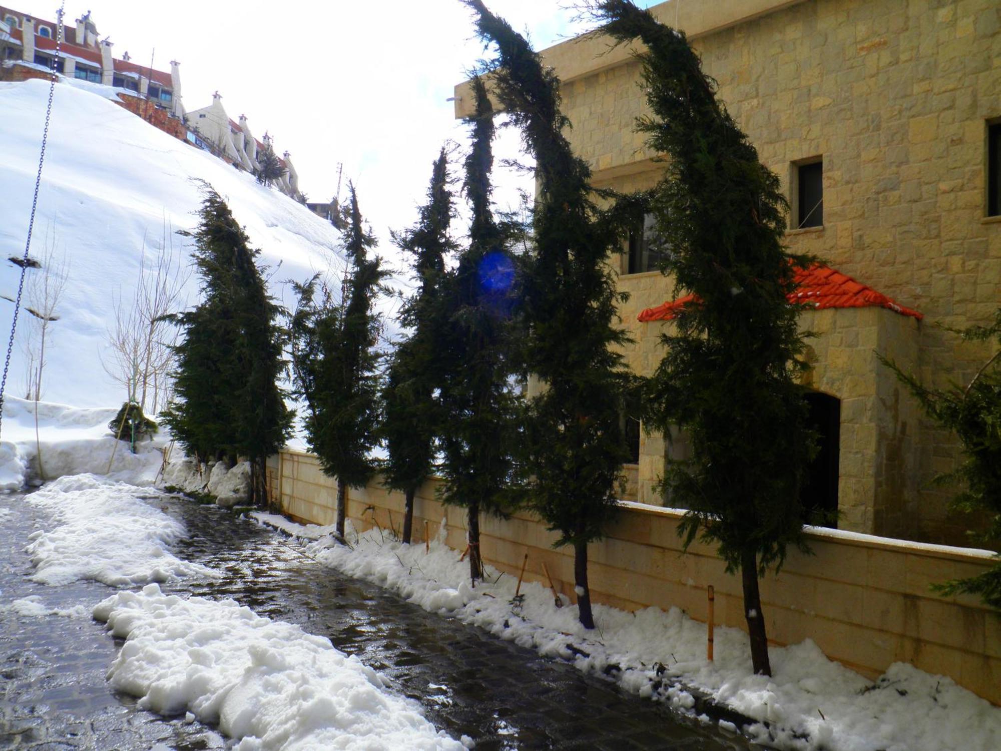 Stone Chalets Fārayyā Exterior foto
